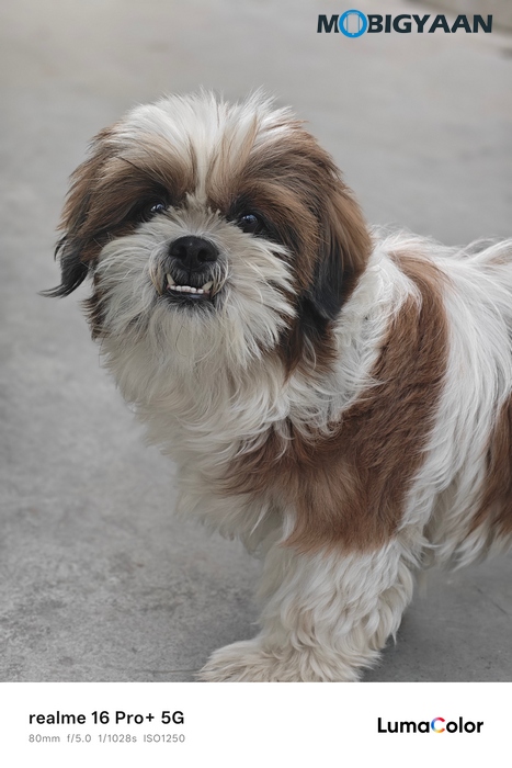 realme 16 Pro 5G Review Camera Samples 32