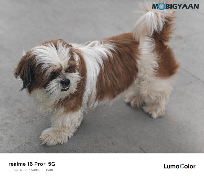 realme 16 Pro 5G Review Camera Samples 33