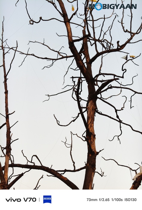 vivo V70 Review Camera Samples 14