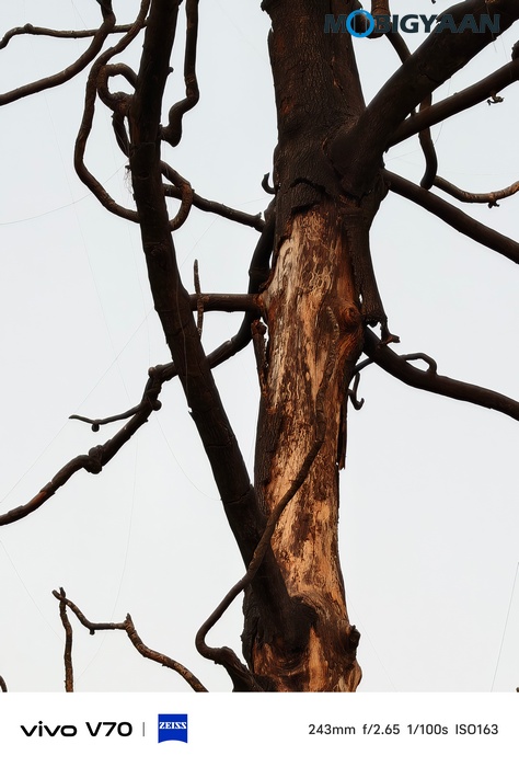 vivo V70 Review Camera Samples 15