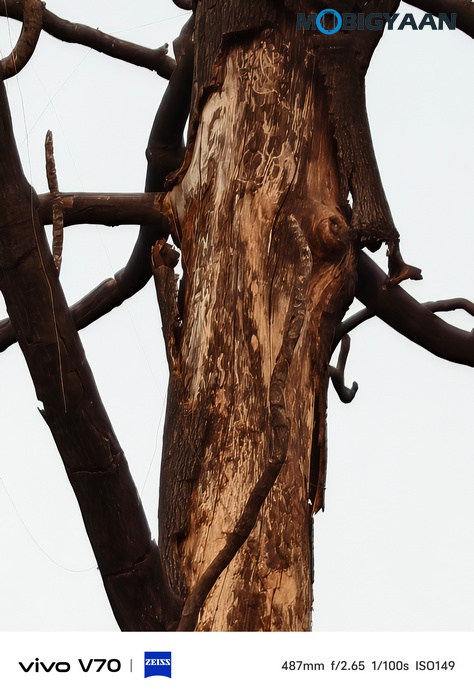 vivo V70 Review Camera Samples 16