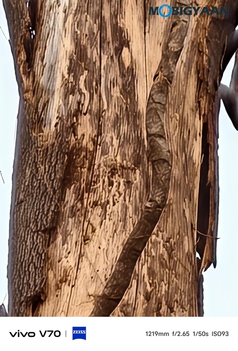 vivo V70 Review Camera Samples 17