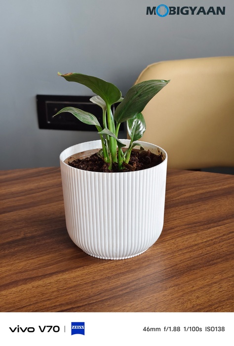 vivo V70 Review Camera Samples 18