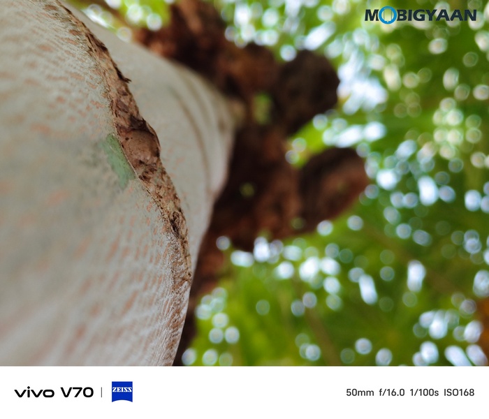 vivo V70 Review Camera Samples 2