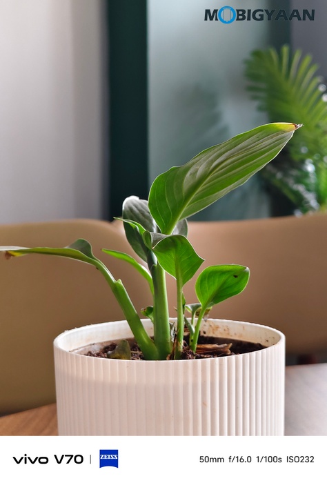 vivo V70 Review Camera Samples 21