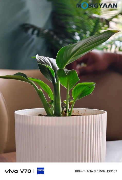 vivo V70 Review Camera Samples 22