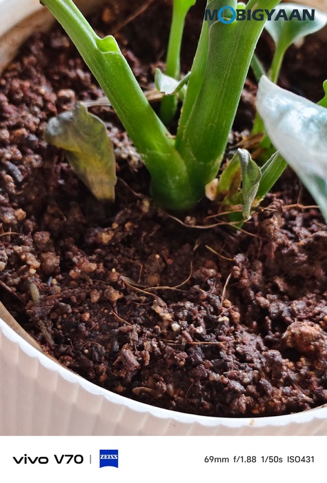 vivo V70 Review Camera Samples 25