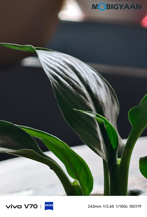 vivo V70 Review Camera Samples 29