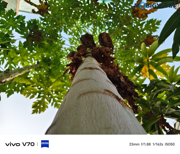 vivo V70 Review Camera Samples 3