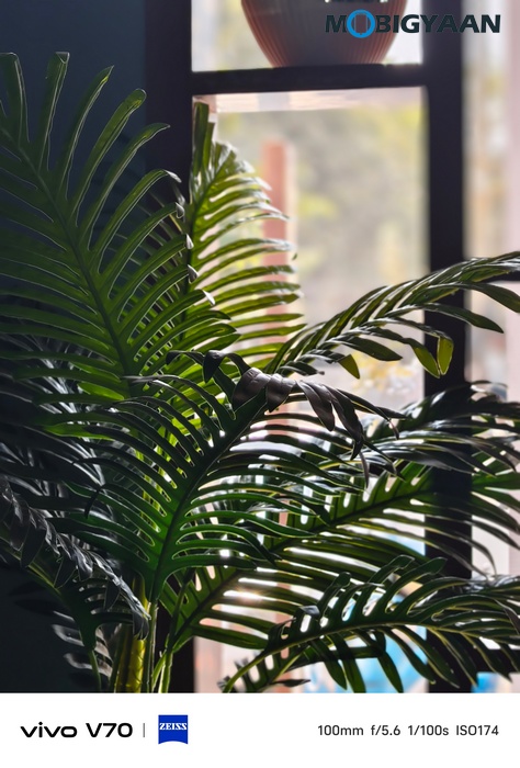 vivo V70 Review Camera Samples 31