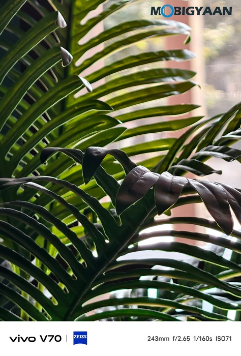 vivo V70 Review Camera Samples 32