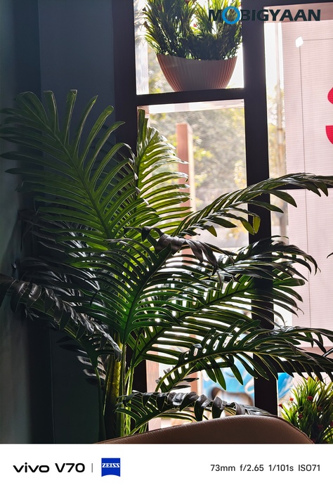 vivo V70 Review Camera Samples 33