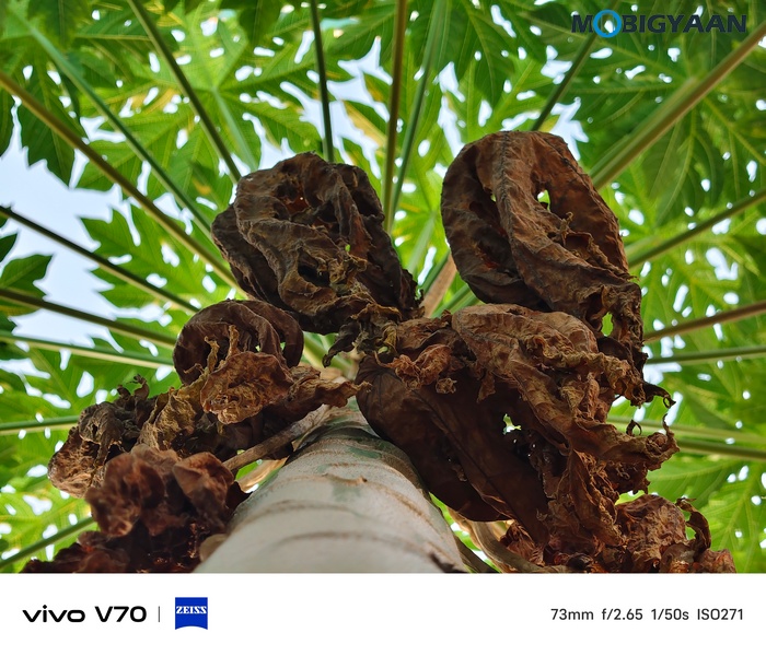 vivo V70 Review Camera Samples 4