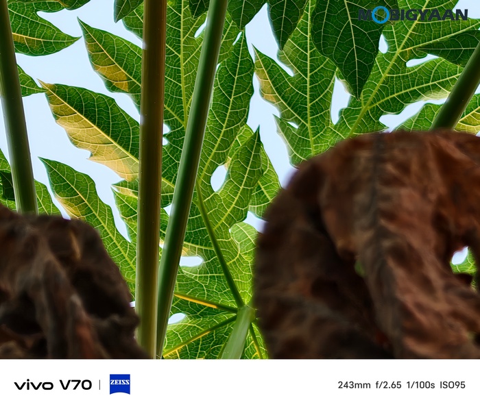 vivo V70 Review Camera Samples 5