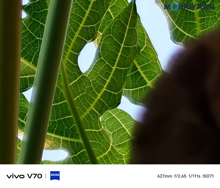 vivo V70 Review Camera Samples 6