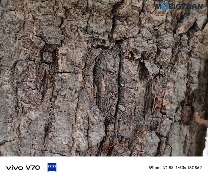 vivo V70 Review Camera Samples 7