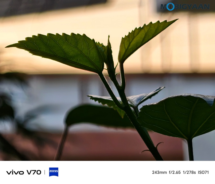 vivo V70 Review Camera Samples 9
