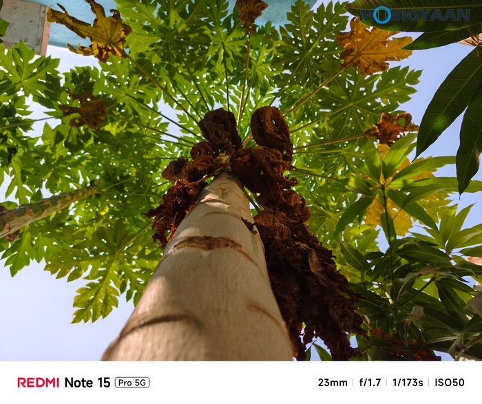 REDMI Note 15 Pro 5G Review Camera Samples 12