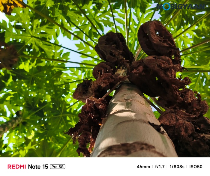REDMI Note 15 Pro 5G Review Camera Samples 13