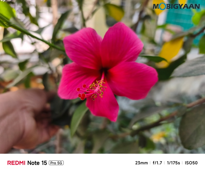 REDMI Note 15 Pro 5G Review Camera Samples 15