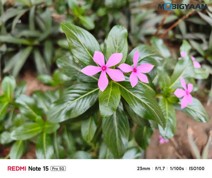 REDMI Note 15 Pro 5G Review Camera Samples 18