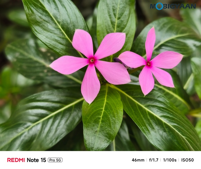 REDMI Note 15 Pro 5G Review Camera Samples 19