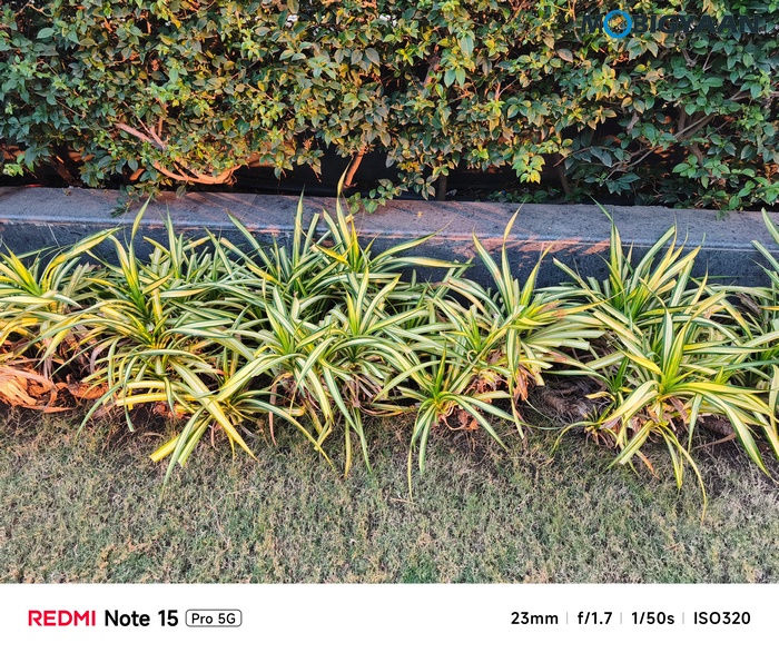 REDMI Note 15 Pro 5G Review Camera Samples 2