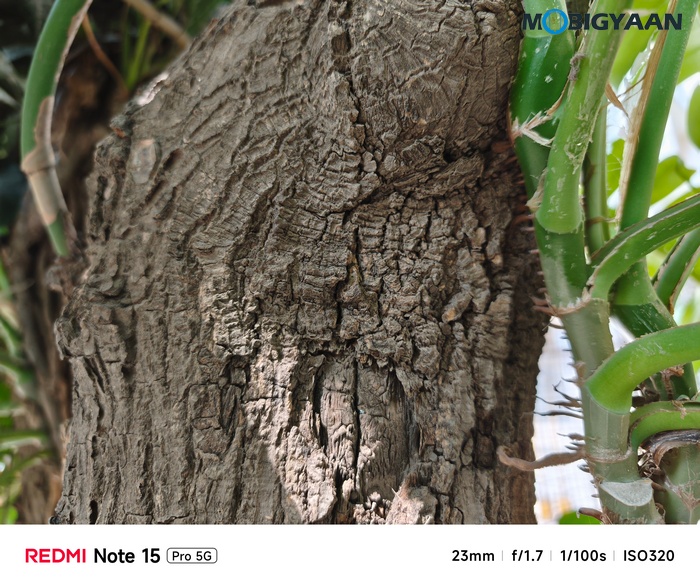 REDMI Note 15 Pro 5G Review Camera Samples 21