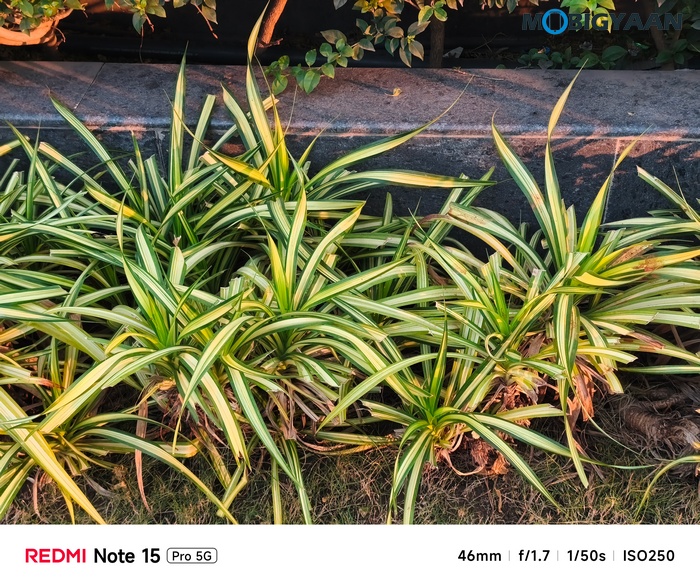 REDMI Note 15 Pro 5G Review Camera Samples 3