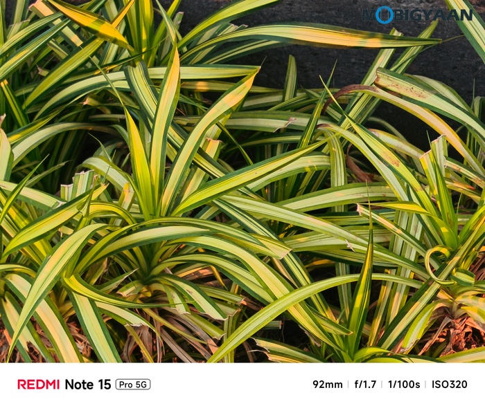 REDMI Note 15 Pro 5G Review Camera Samples 4
