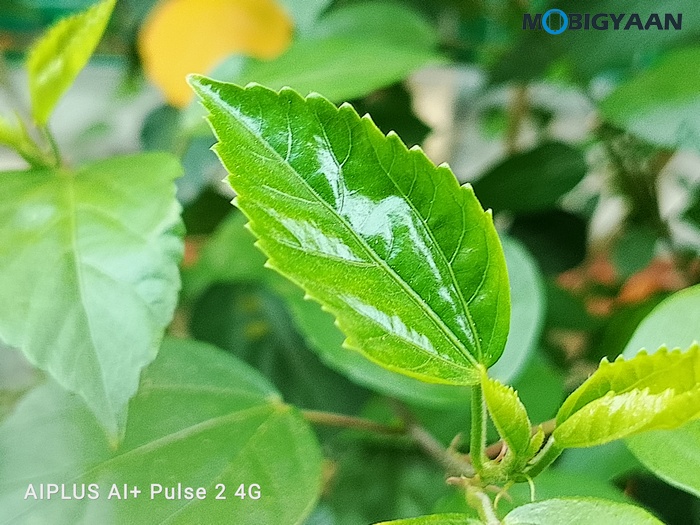 AI Pulse 2 Review Camera Samples 3