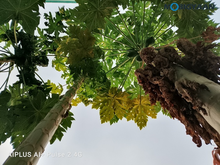 AI Pulse 2 Review Camera Samples 4