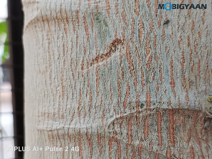 AI Pulse 2 Review Camera Samples 6