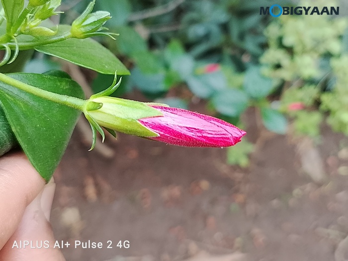 AI Pulse 2 Review Camera Samples 8