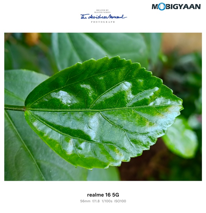 realme 16 5G Review Camera Samples 12