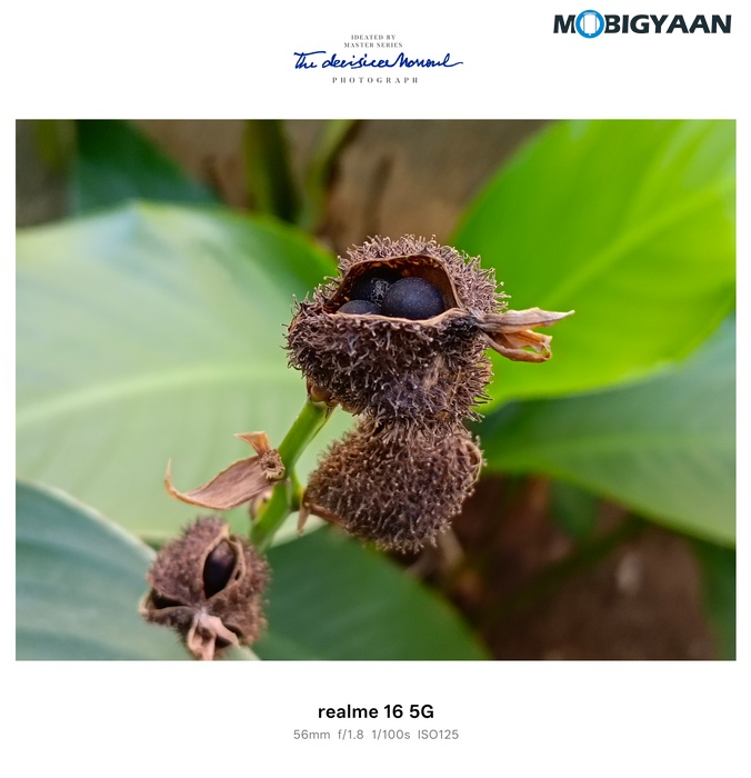realme 16 5G Review Camera Samples 15