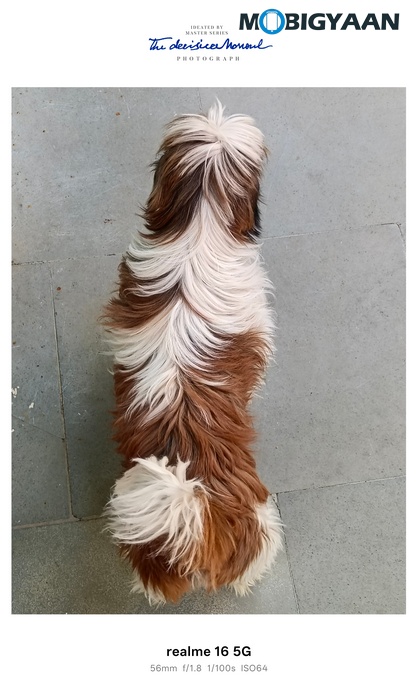 realme 16 5G Review Camera Samples 17