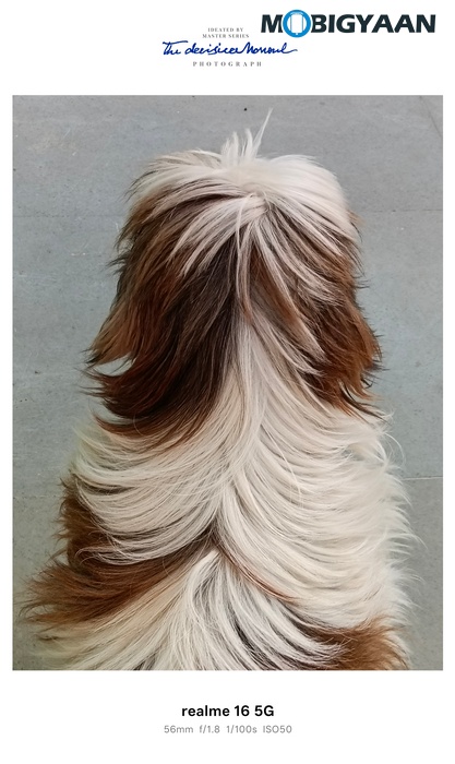 realme 16 5G Review Camera Samples 18