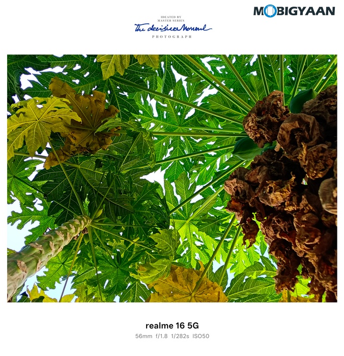 realme 16 5G Review Camera Samples 3