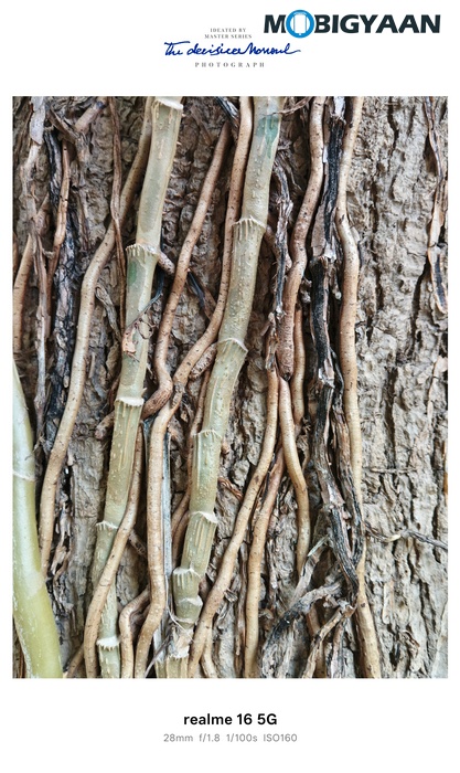 realme 16 5G Review Camera Samples 7