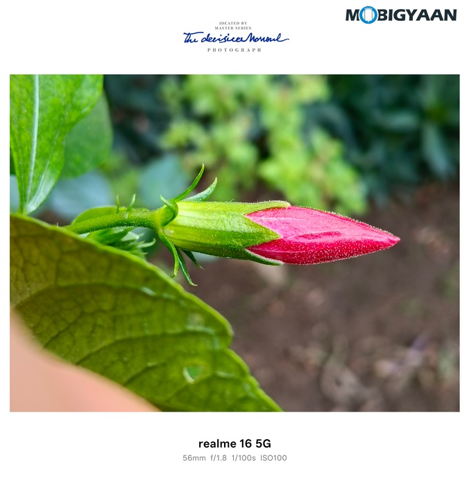 realme 16 5G Review Camera Samples 9