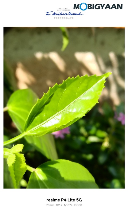 realme P4 Lite 5G Review Camera Samples 7