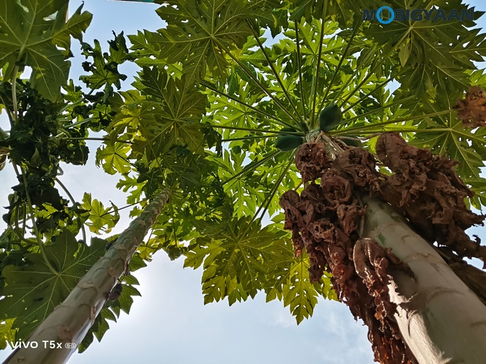 vivo T5x 5G Review Camera Samples 1