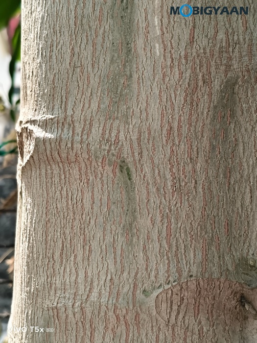 vivo T5x 5G Review Camera Samples 3