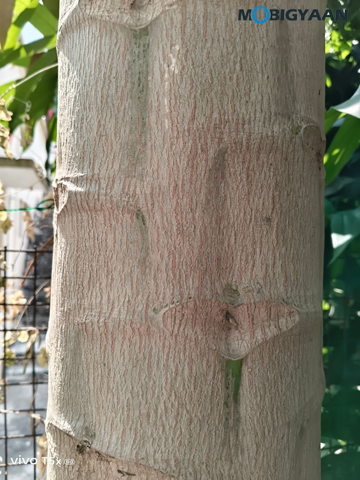 vivo T5x 5G Review Camera Samples 4