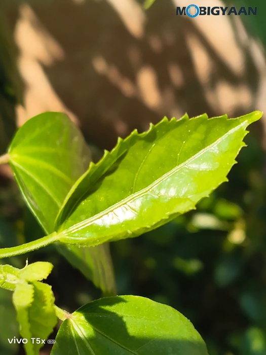 vivo T5x 5G Review Camera Samples 6