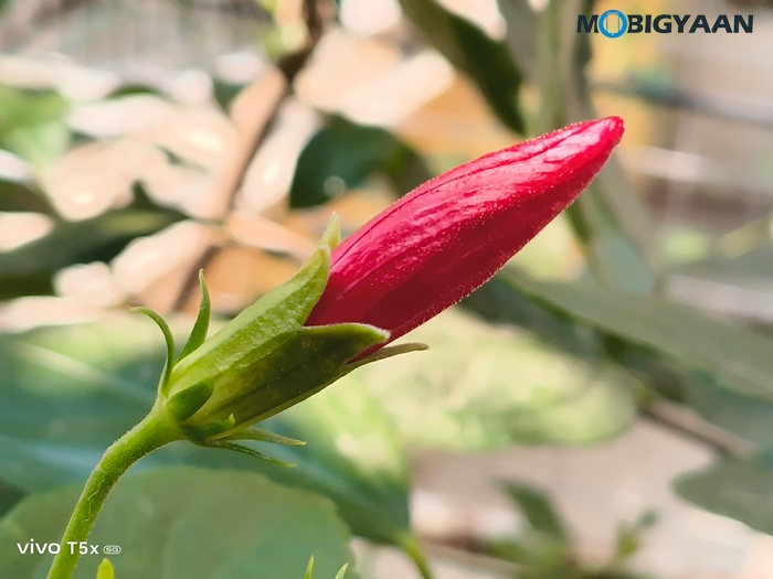 vivo T5x 5G Review Camera Samples 7