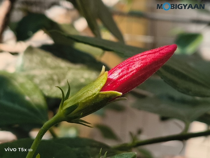 vivo T5x 5G Review Camera Samples 8