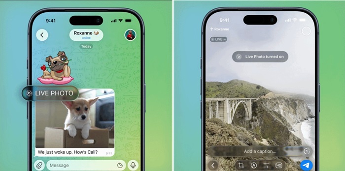 Telegram 12.6 update brings AI text editor, advanced poll, Live Photos, bot tools, and more 5 Telegram Live Motion Photos support