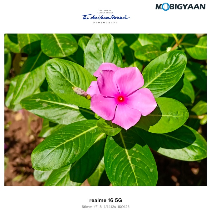 realme 16 5G Review Camera Samples 23